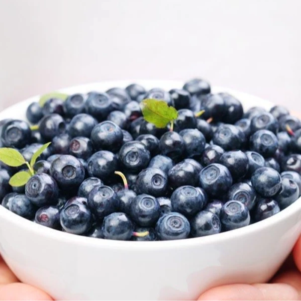 【韩大乐】云南糖豆蓝莓1箱400g（13mm）云南省