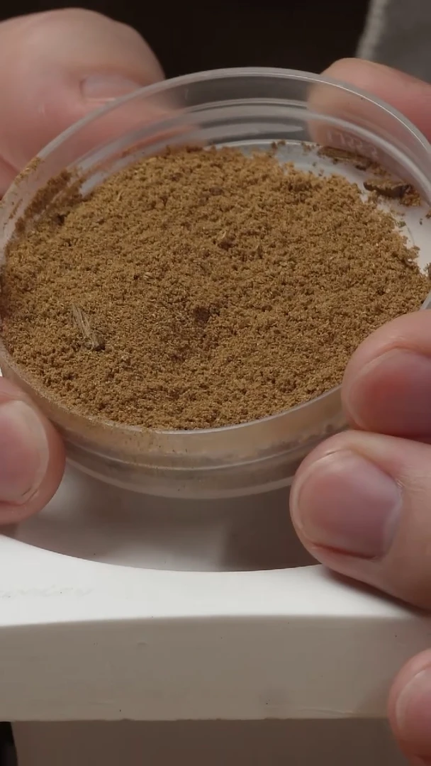 沉香沉香碎屑0202泰金星车珠粉2克（保克重）