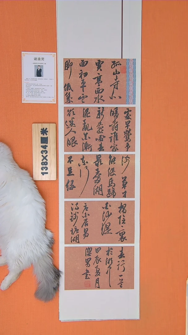 书法谢老师书法作品138*34钱塘湖春行