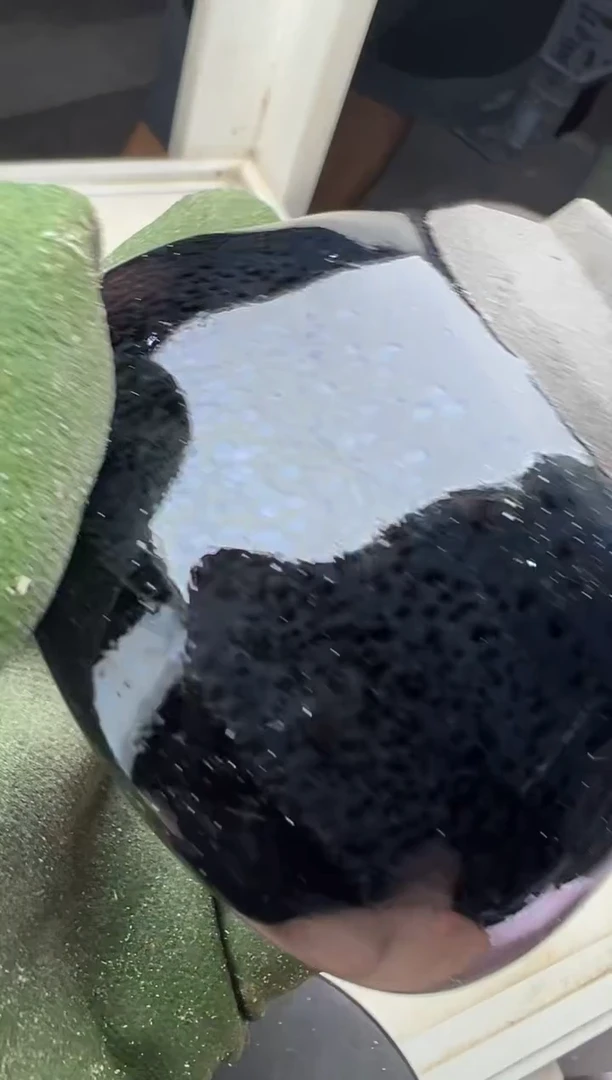 茶盏7缪兴洲首窑开窑580