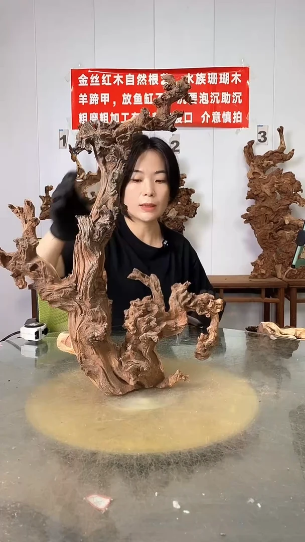 香榧木金丝红木  羊蹄甲