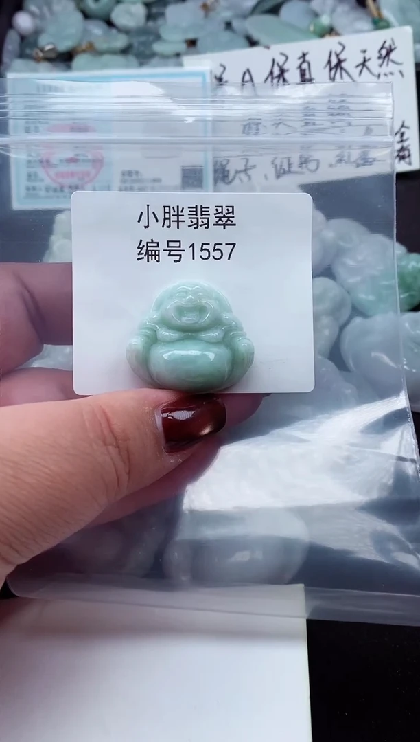 颈饰未镶嵌翡翠缅甸天然A货翡翠1557