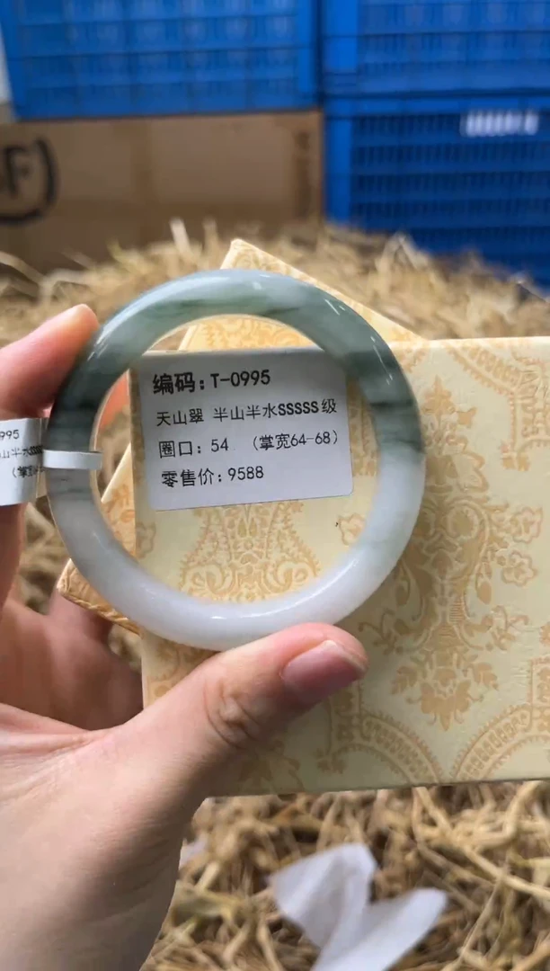 未镶嵌手镯石英质玉T-0995