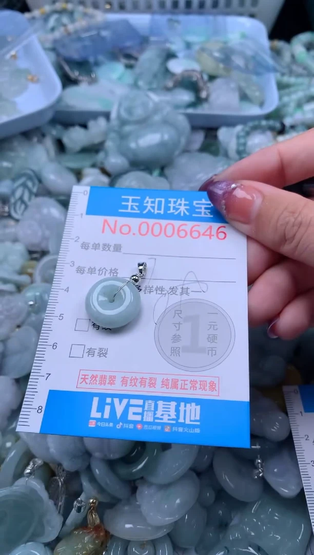 翡翠未镶嵌吊坠(不含链)6646