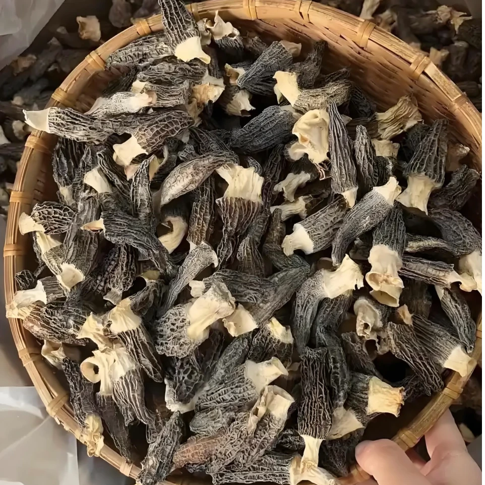 正宗精选羊肚菌头茬肉厚干货菌菇汤食用无硫养生滋补