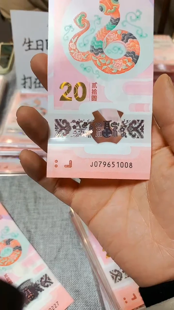 【闪购商品】塑料2024年龙年纪念品单张