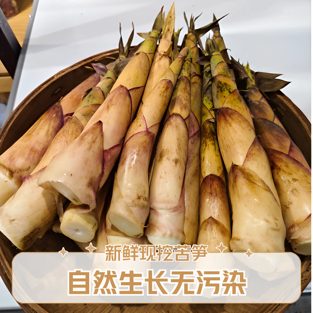 江西赣南深山新鲜野生苦笋带壳发货苦竹笋春笋甜苦笋苦笋包邮