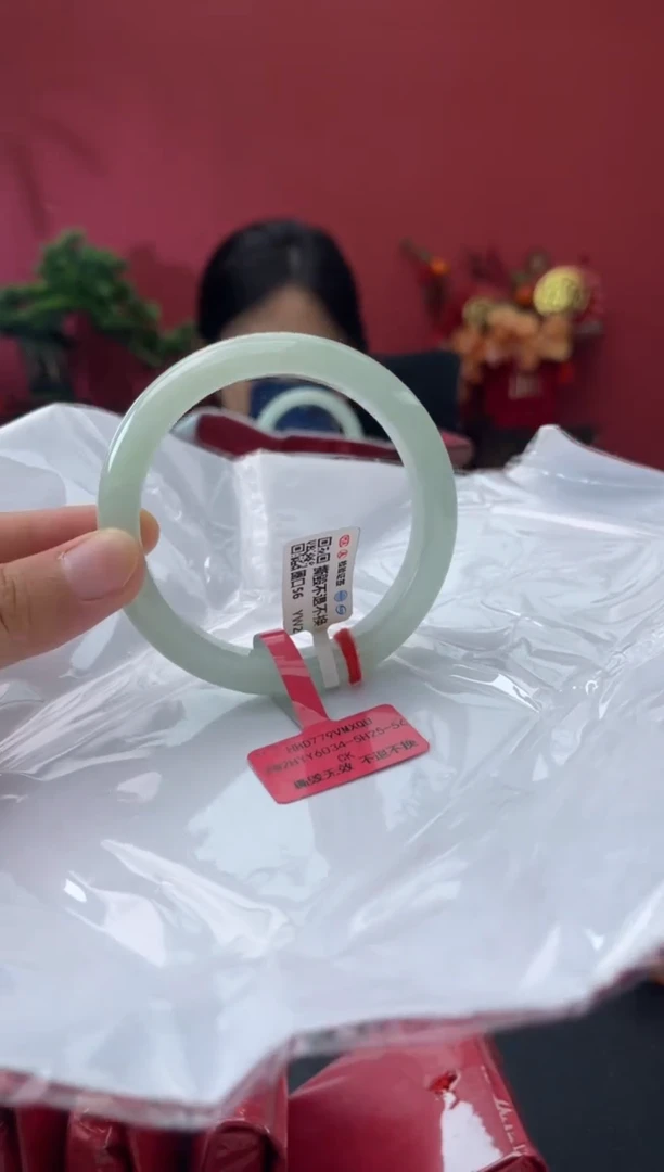未镶嵌手镯翡翠4