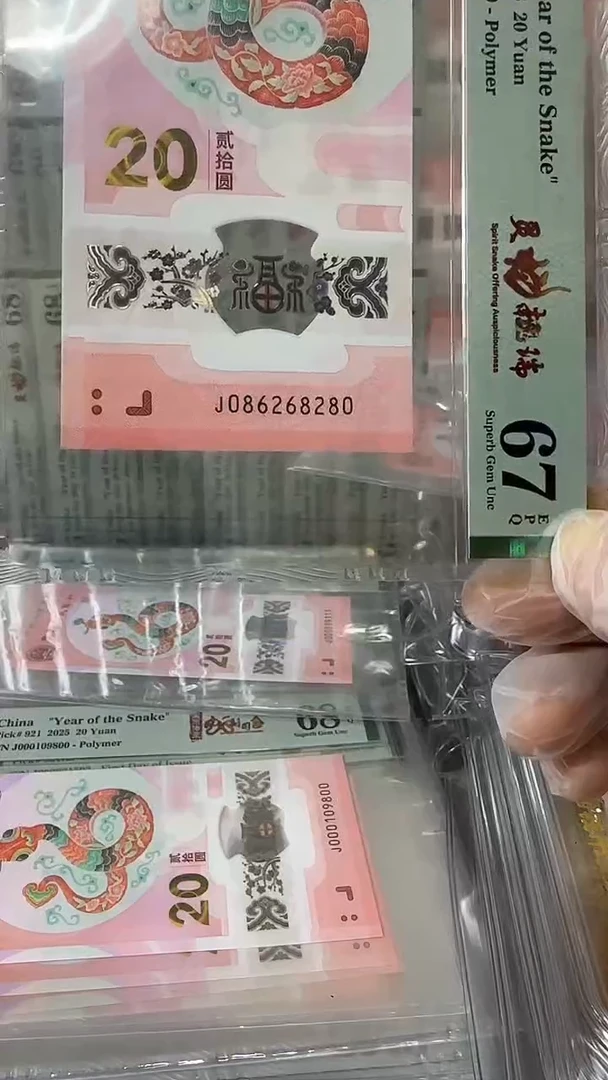 塑料086268280-蛇钞单张