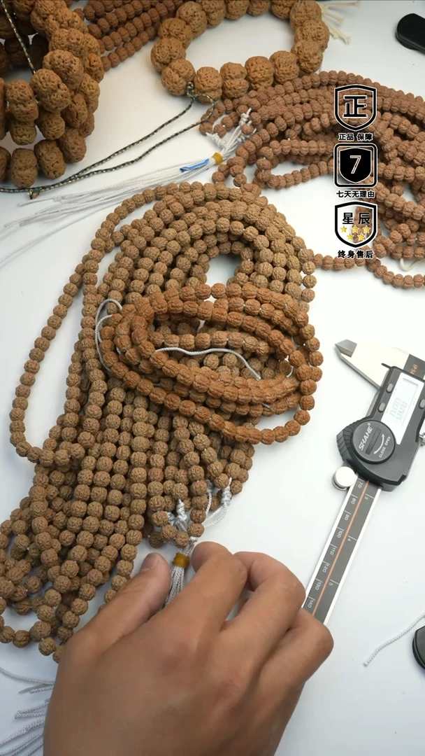 【闪购商品】金刚菩提吊坠8866666666