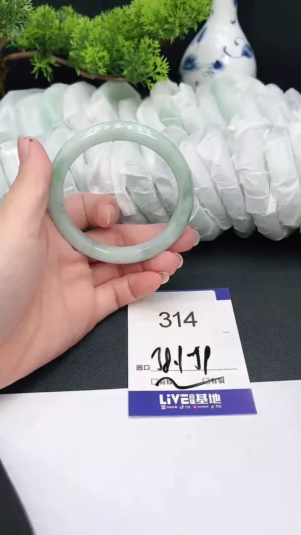 未镶嵌手镯翡翠314