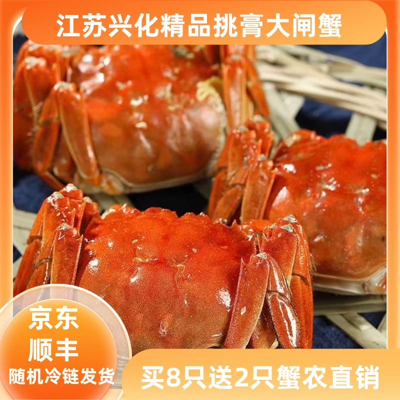 兴化精品全母蟹礼盒装活蟹现发10只3两-3.2两
