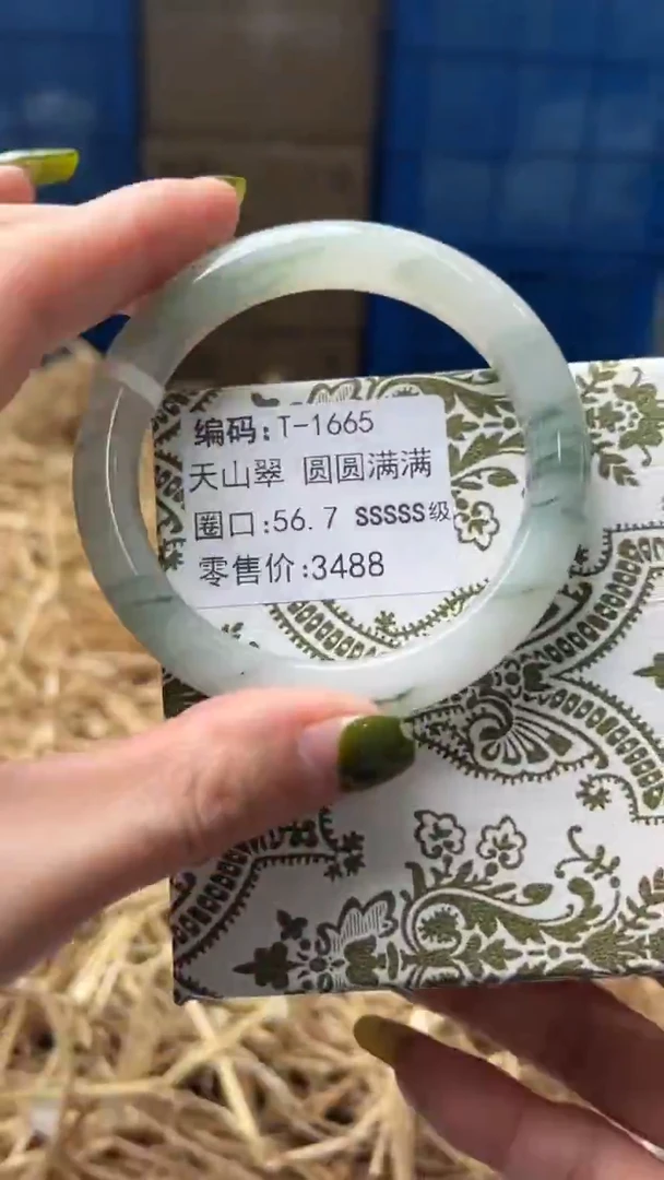 未镶嵌手镯石英质玉T1665