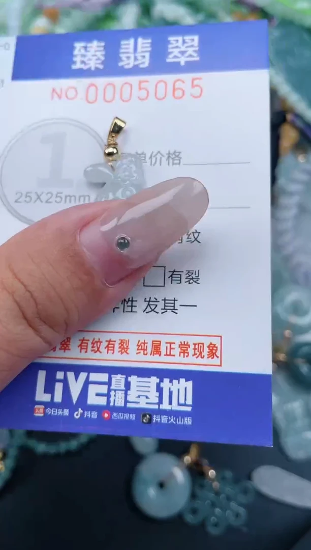 颈饰未镶嵌翡翠.0005065
