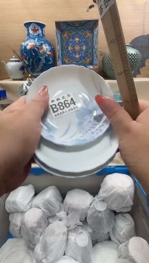 瓷片琦*         B864