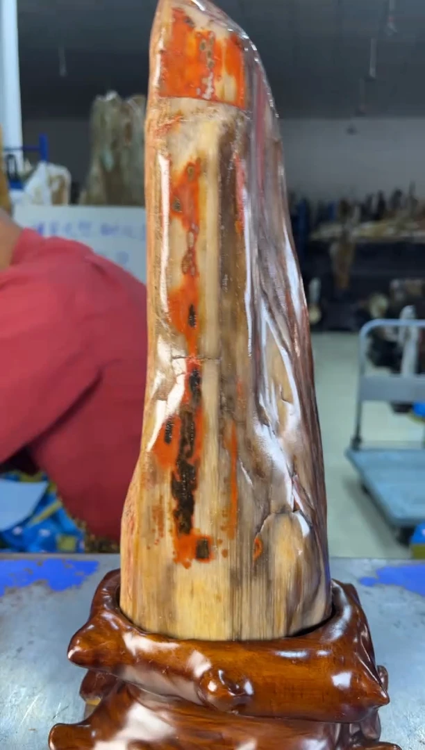 未镶嵌摆件硅化玉18