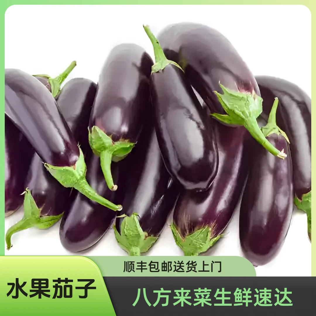 水果茄子 约500g±50g/份新鲜