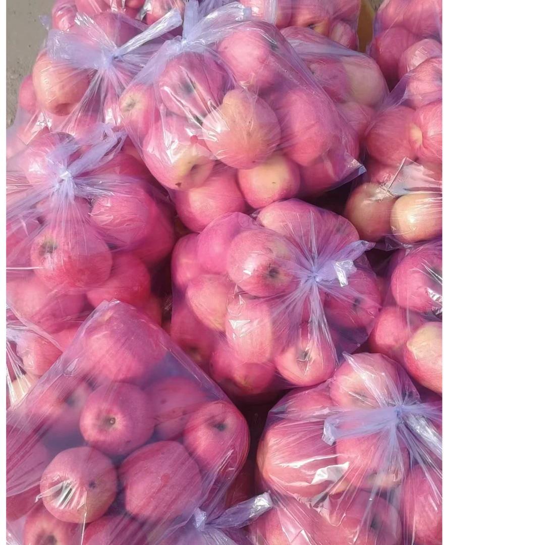 瑞香红苹果 8斤//袋(送货到小区门口)山东省