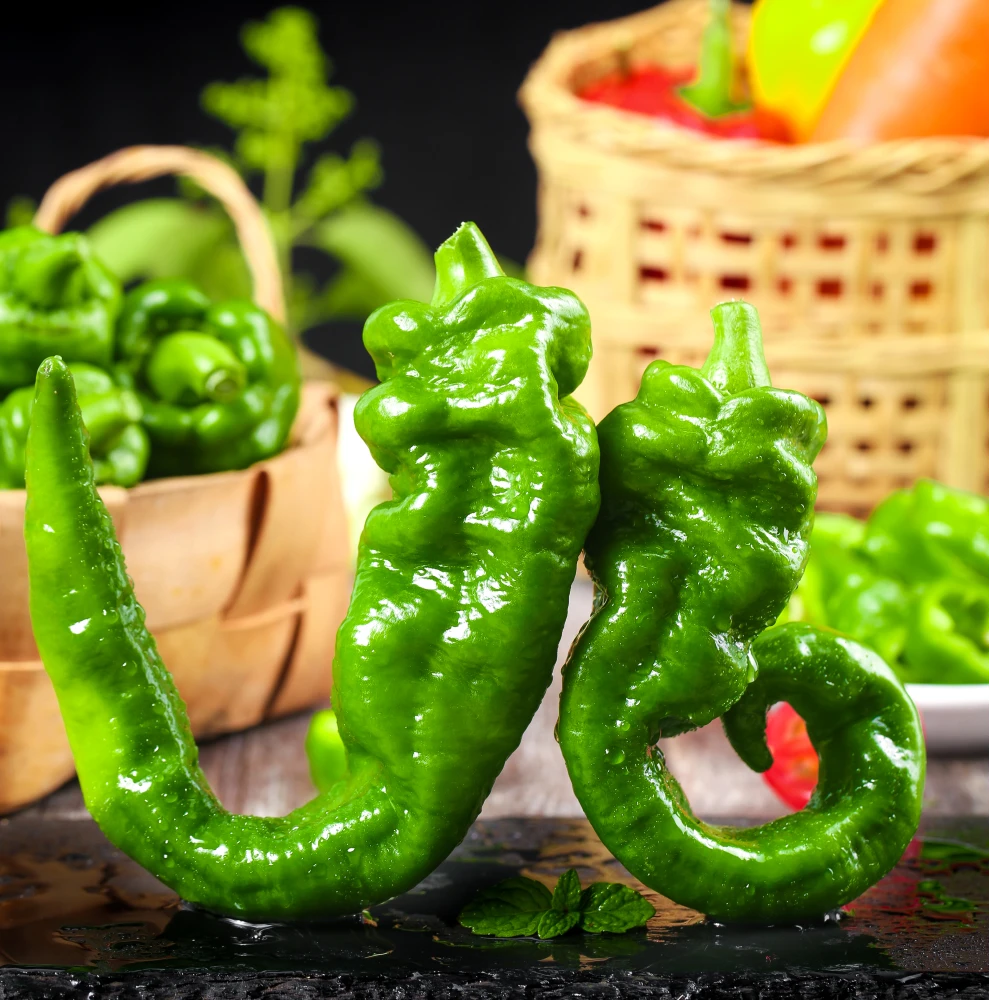 【春涧浅雨】陕西螺丝椒3斤（一斤约12-15个）