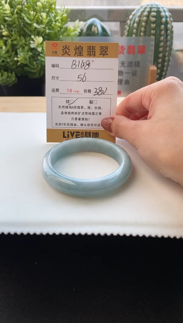 未镶嵌手镯翡翠56圈口 编码B168