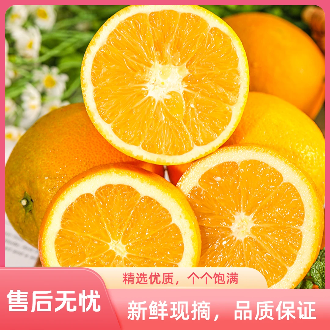 10斤含箱正宗赣南脐橙顺丰包邮90-95规格(内蒙甘肃年货节专享）