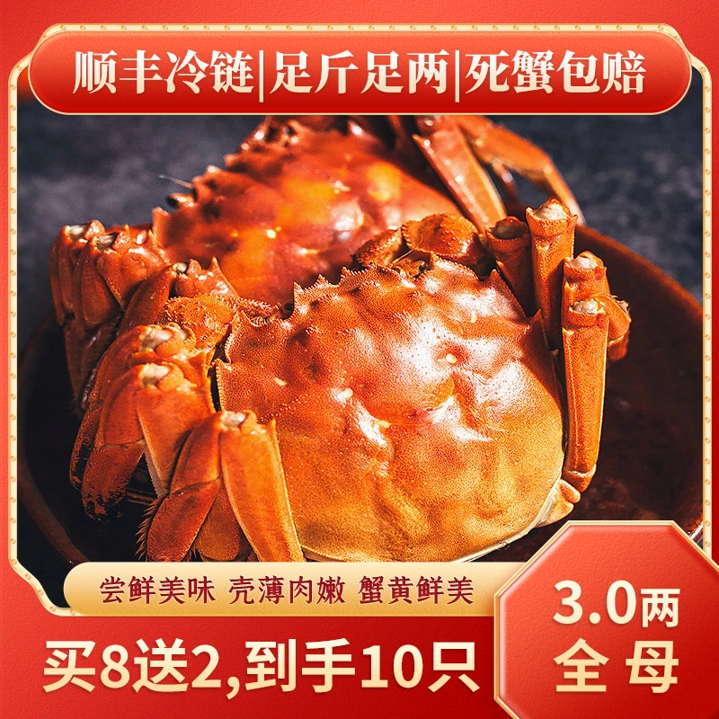 【活蟹顺丰现捞现发】正宗苏州大闸蟹3两母蟹买8只送2只到手10只