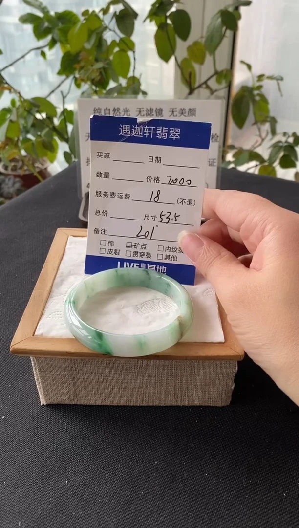 未镶嵌手镯翡翠53.5圈口 L01编码