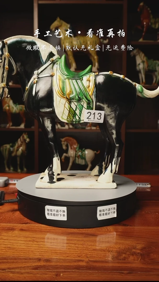 213 中国马 国礼马 高４０