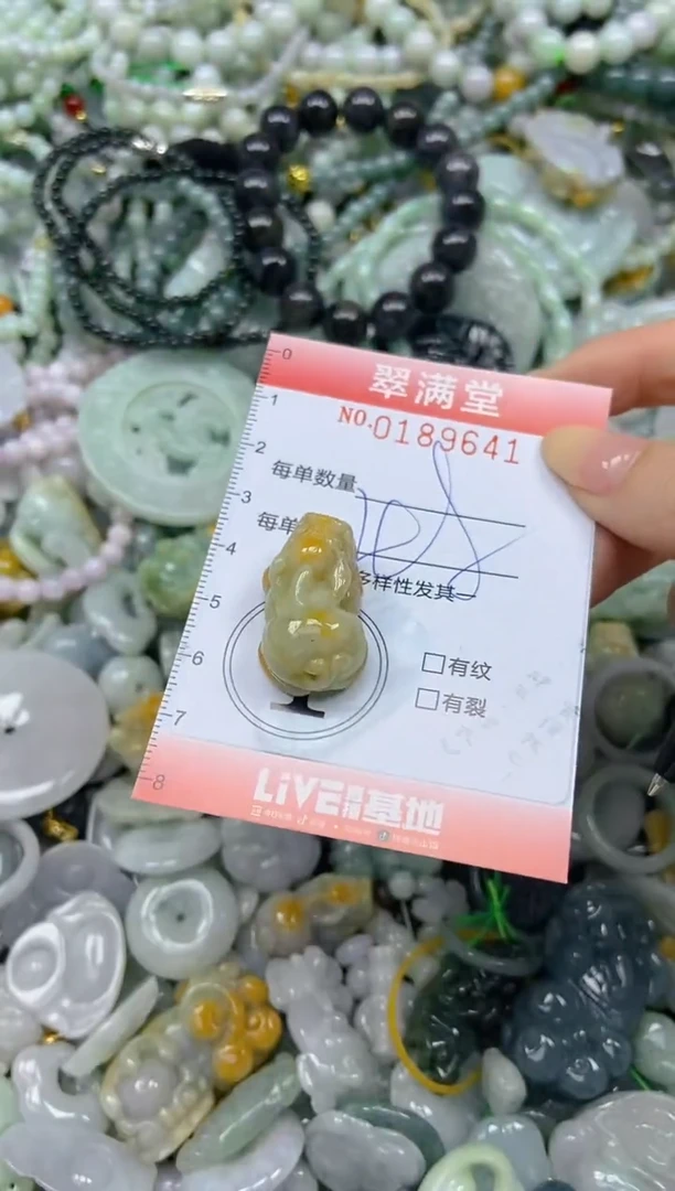颈饰未镶嵌翡翠闪购0189641