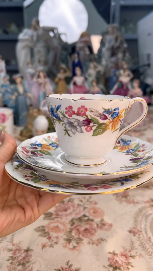 杯5 中古  雪莱一杯双盘