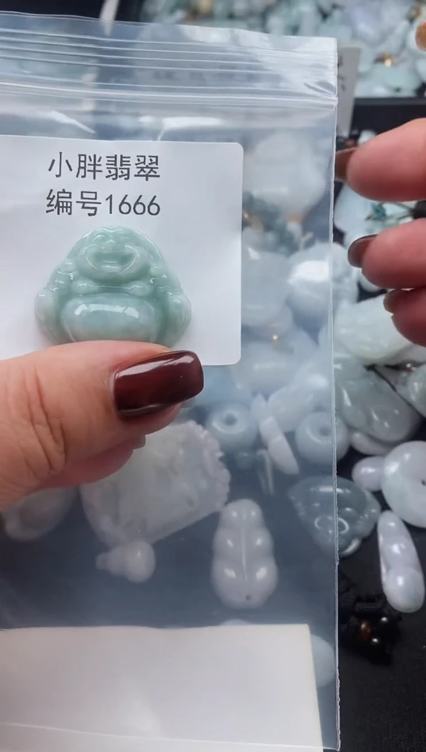 颈饰未镶嵌翡翠缅甸天然A货翡翠1666