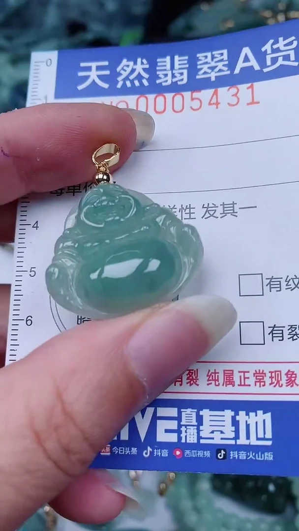 翡翠未镶嵌颈饰00005431