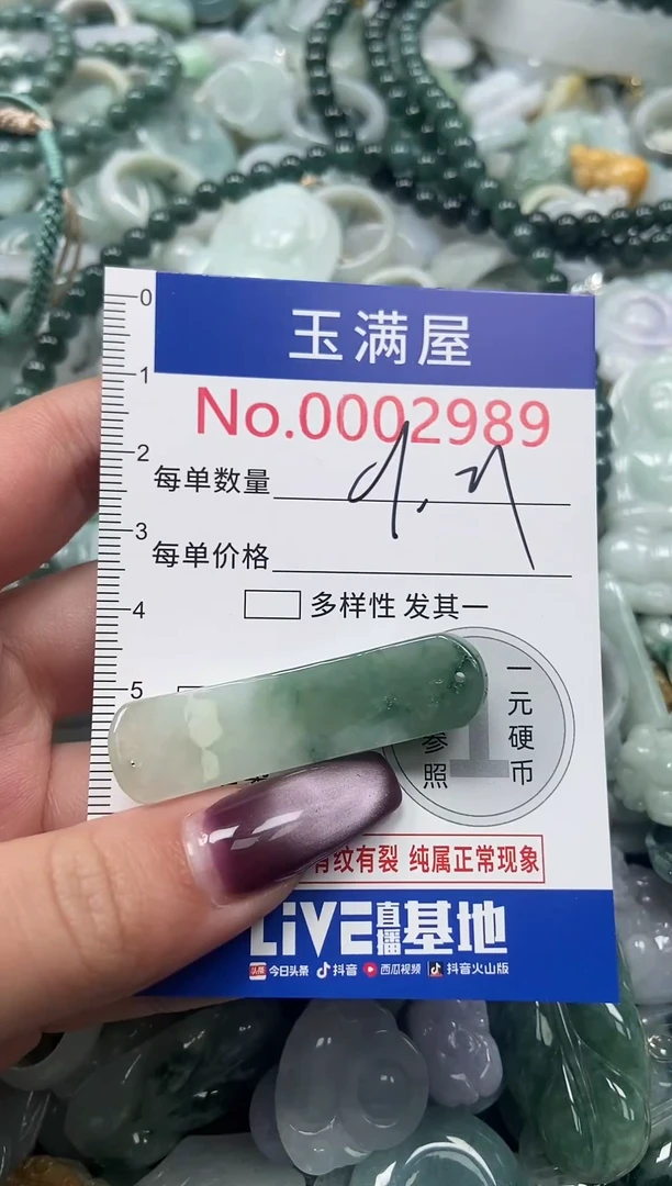 颈饰未镶嵌翡翠2989