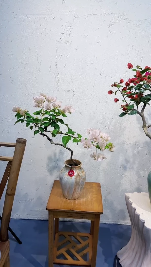 全部花朵小*～暗斑丽人