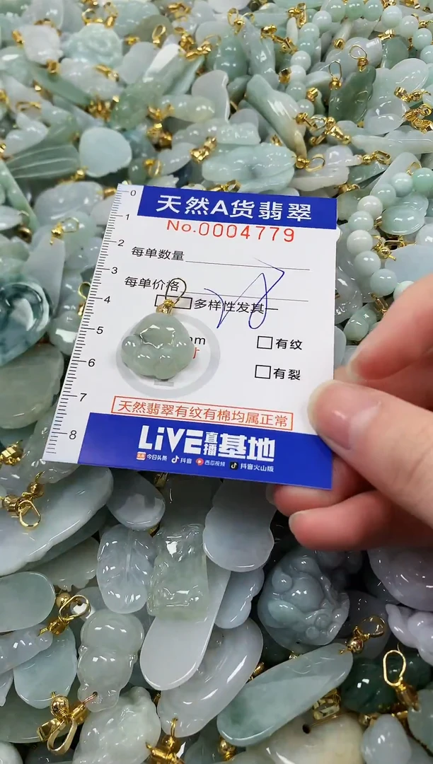 颈饰未镶嵌翡翠纯天然a货翡翠