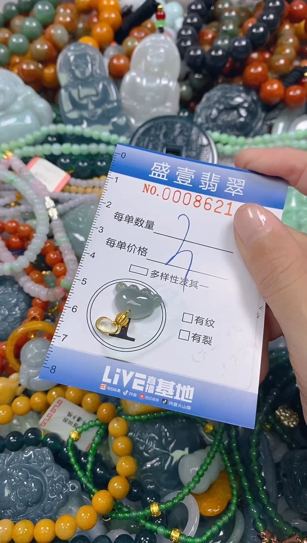 颈饰未镶嵌翡翠闪购0008621