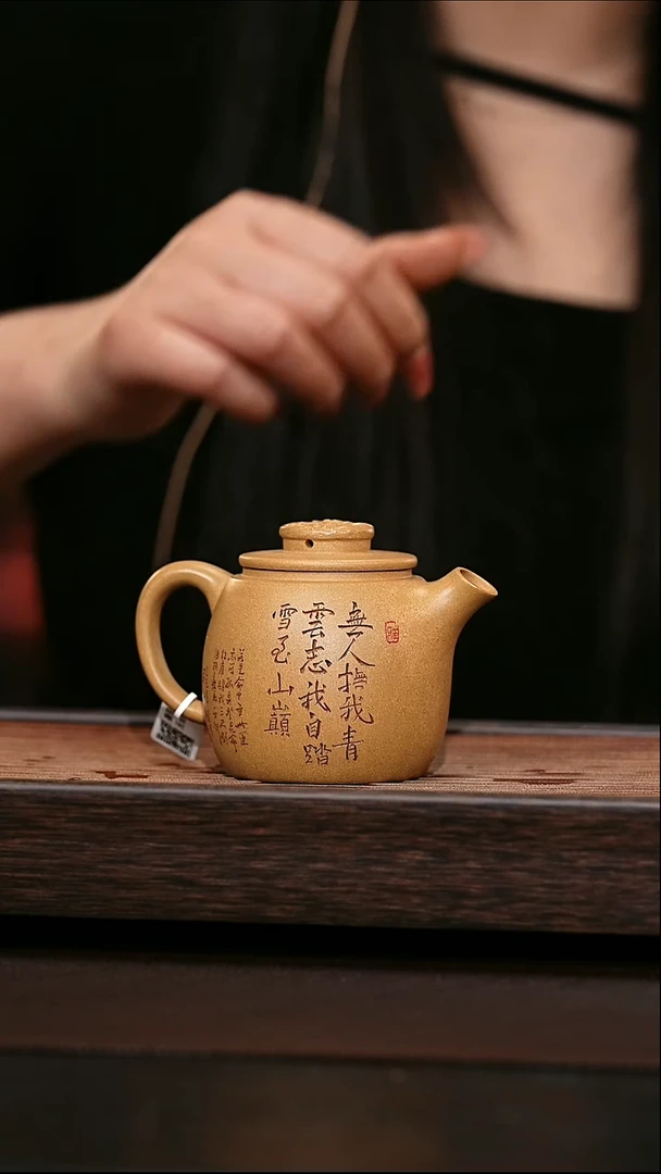 茶壶紫砂原矿紫砂壶    炮嘴