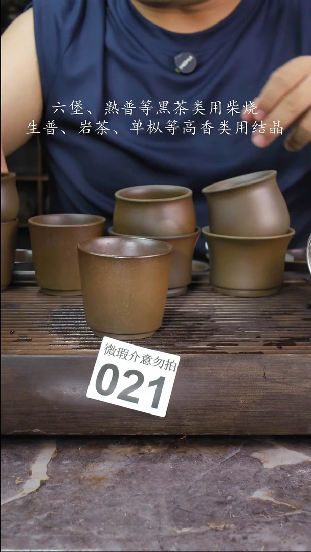 壶四大名陶钦州坭兴陶021