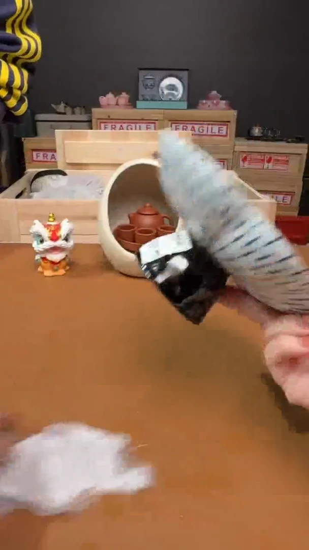 直播闪购【清仓福利】不可返场