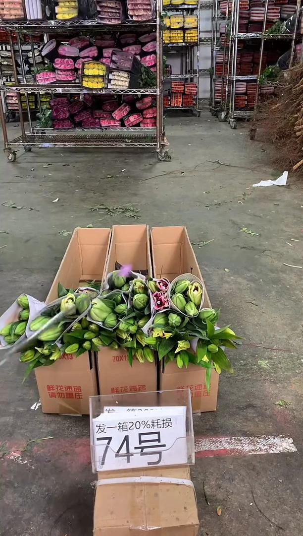 74号/5♥中通不指定随机颜色含20%耗损发一箱鲜花