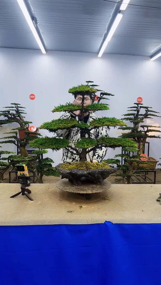 完全开放一物一拍，所见即所得