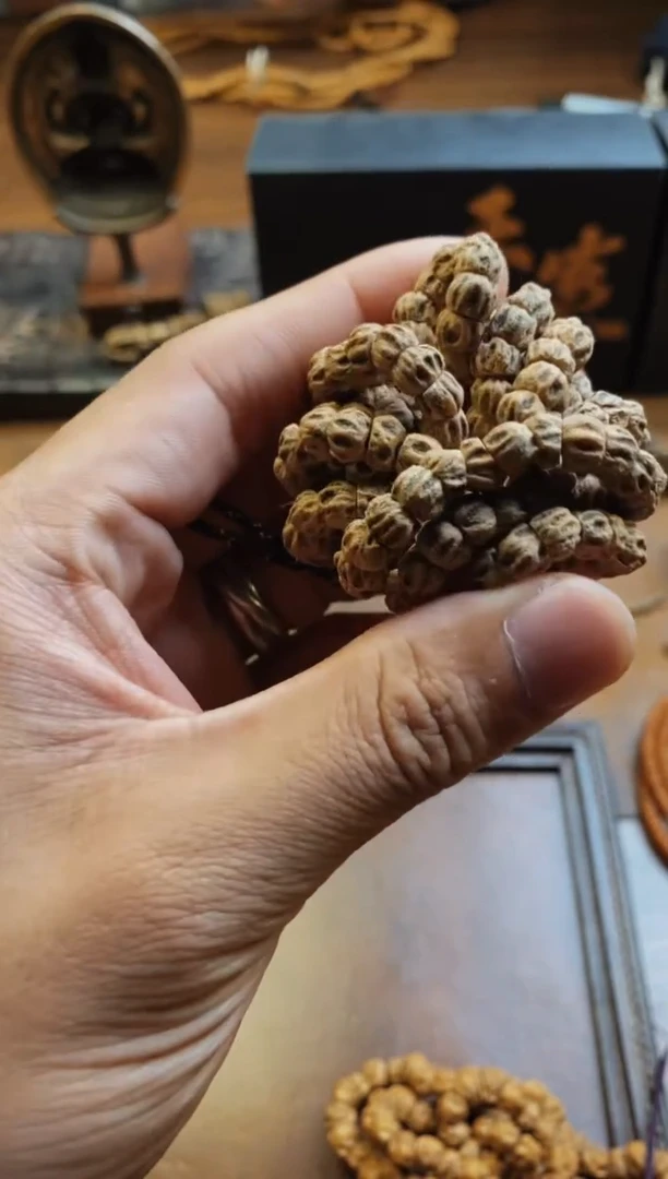 柏香籽/百香籽手串【天策出品】-- 万鬼肠