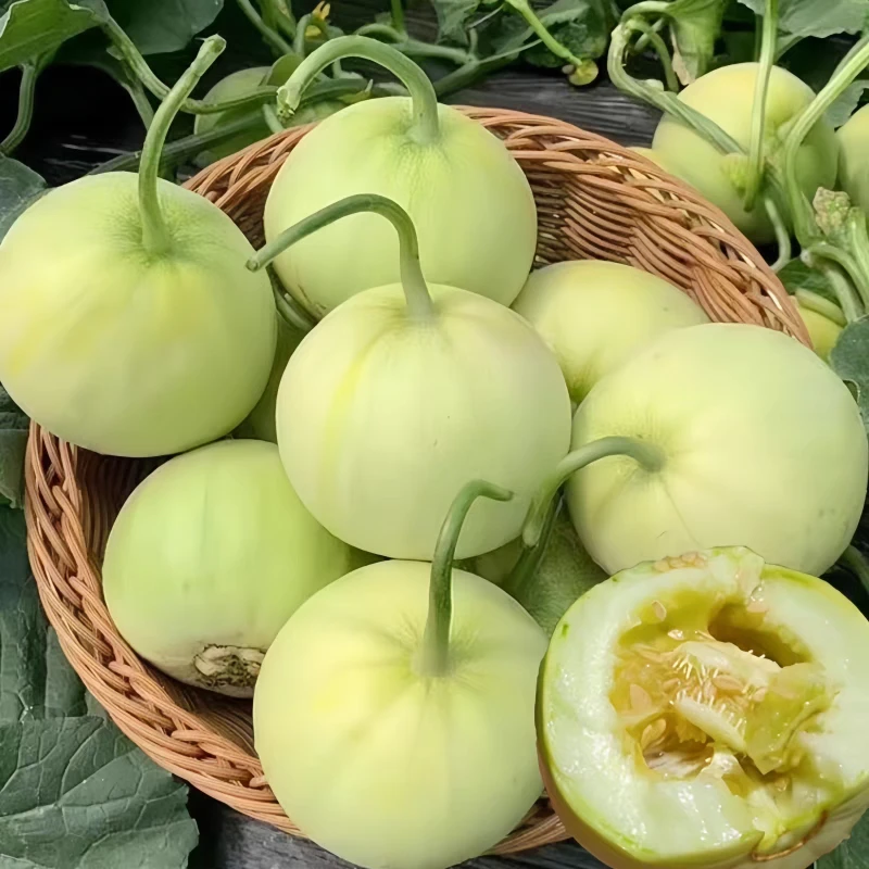 江西余干本地香瓜梨瓜