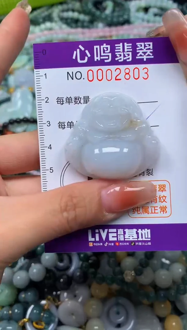 颈饰未镶嵌翡翠闪购002803