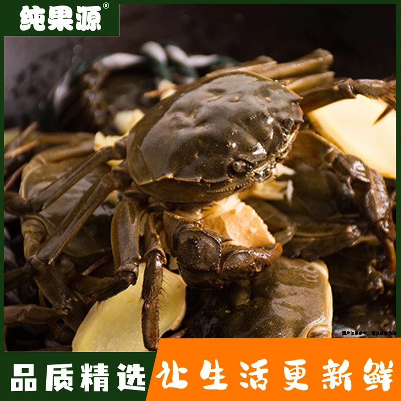 【纯果源小时达】鲜（母）河蟹（1两左右/只）【1斤装/4斤装】