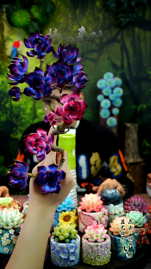 115.。。。。。。。。。。。。。