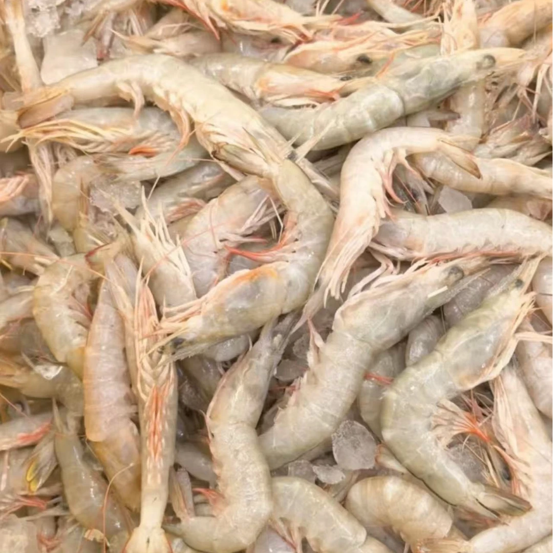 【魏来海鲜】特大--野生沙虾 鲜甜可口 泉州发货沙卢虾顺丰新鲜到家