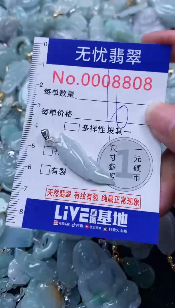 颈饰未镶嵌翡翠8808