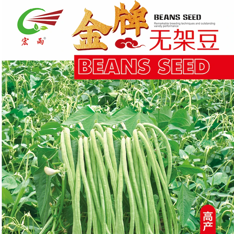 金牌无架豆种子（不搭架豇豆）