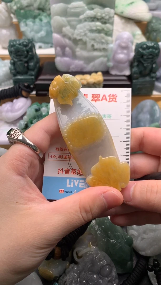 吊坠(不含链)未镶嵌翡翠1